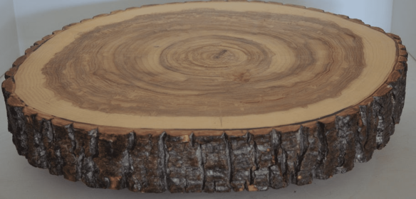 Rustic Wood Slab, Charcuterie boards, Cutting Boards, Cake Stands, Serving Platters or Center Pieces With Bark (size: 19"-21")
